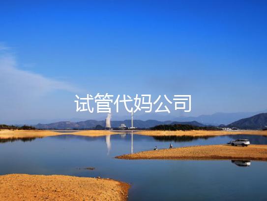 试管代妈公司
